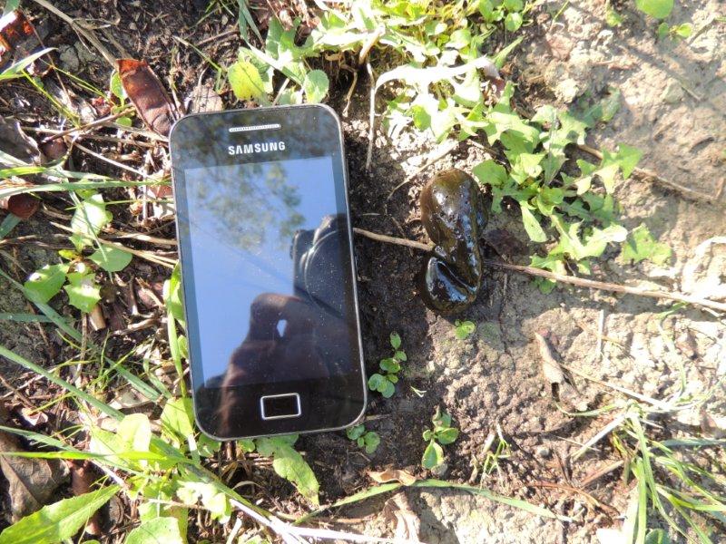 E'' una fatta, o che ?